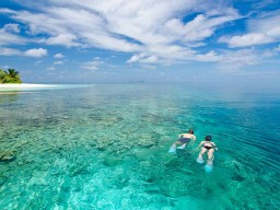 Beautiful house reef - The reef around the island offers ideal diving and snorkeling possibilities.